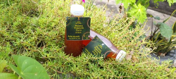 Amla Squash 500 Ml - Image 2
