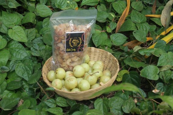 Amla Candy 500 Gram - Image 2