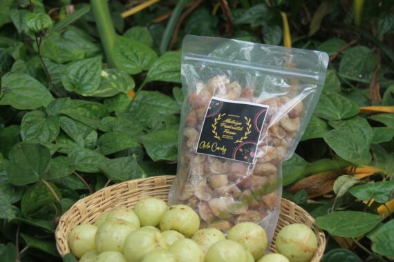 Amla Candy 500 Gram - Image 3