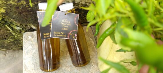 Sarso Oil - Image 2