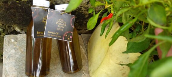 Sarso Oil - Image 3