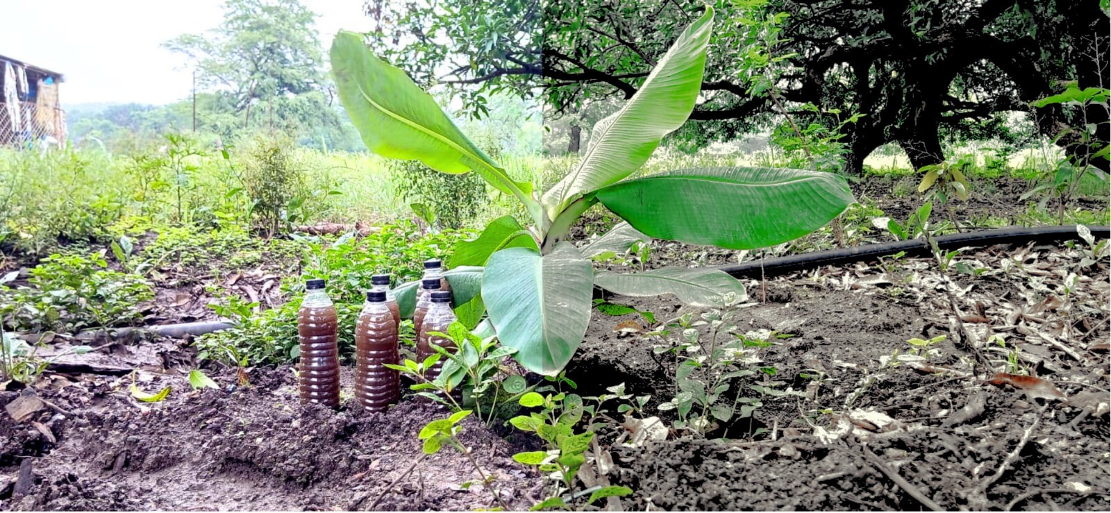 Malaiya Prakrutik Farm