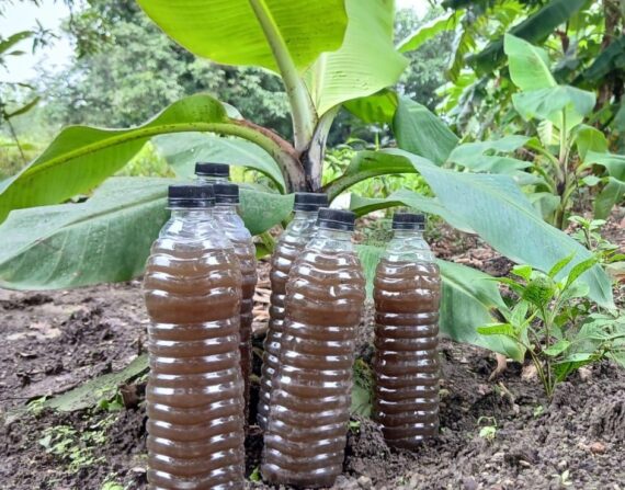 Poshaamrut  500Ml - Image 2