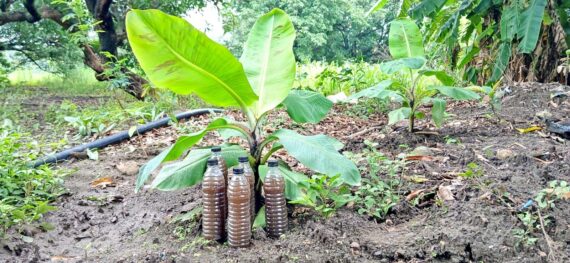 Poshaamrut  500Ml - Image 3